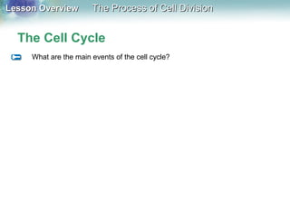 Lesson OverviewLesson Overview The Process of Cell DivisionThe Process of Cell Division
The Cell Cycle
What are the main events of the cell cycle?
 