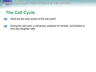 Lesson OverviewLesson Overview The Process of Cell DivisionThe Process of Cell Division
The Cell Cycle
What are the main events of the cell cycle?
During the cell cycle, a cell grows, prepares for division, and divides to
form two daughter cells.
 