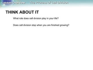 Lesson OverviewLesson Overview The Process of Cell DivisionThe Process of Cell Division
THINK ABOUT IT
What role does cell division play in your life?
Does cell division stop when you are finished growing?
 