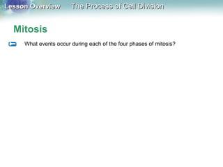 Lesson OverviewLesson Overview The Process of Cell DivisionThe Process of Cell Division
Mitosis
What events occur during each of the four phases of mitosis?
 