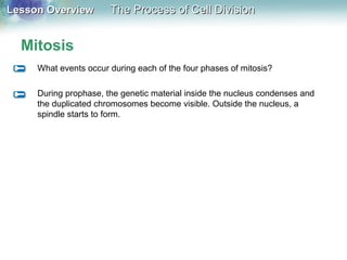 Lesson OverviewLesson Overview The Process of Cell DivisionThe Process of Cell Division
Mitosis
What events occur during each of the four phases of mitosis?
During prophase, the genetic material inside the nucleus condenses and
the duplicated chromosomes become visible. Outside the nucleus, a
spindle starts to form.
 