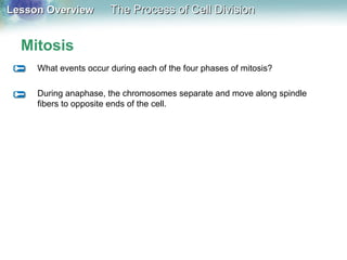 Lesson OverviewLesson Overview The Process of Cell DivisionThe Process of Cell Division
Mitosis
What events occur during each of the four phases of mitosis?
During anaphase, the chromosomes separate and move along spindle
fibers to opposite ends of the cell.
 