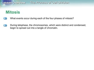 Lesson OverviewLesson Overview The Process of Cell DivisionThe Process of Cell Division
Mitosis
What events occur during each of the four phases of mitosis?
During telophase, the chromosomes, which were distinct and condensed,
begin to spread out into a tangle of chromatin.
 