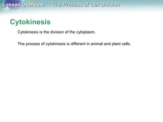 Lesson OverviewLesson Overview The Process of Cell DivisionThe Process of Cell Division
Cytokinesis is the division of the cytoplasm.
The process of cytokinesis is different in animal and plant cells.
Cytokinesis
 