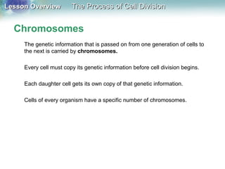 Lesson OverviewLesson Overview The Process of Cell DivisionThe Process of Cell Division
The genetic information that is passed on from one generation of cells to
the next is carried by chromosomes.
Every cell must copy its genetic information before cell division begins.
Each daughter cell gets its own copy of that genetic information.
Cells of every organism have a specific number of chromosomes.
Chromosomes
 