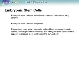 Lesson OverviewLesson Overview Cell DifferentiationCell Differentiation
Embryonic Stem Cells
Embryonic stem cells are found in the inner cells mass of the early
embryo.
Embryonic stem cells are pluripotent.
Researchers have grown stem cells isolated from human embryos in
culture. Their experiments confirmed that embryonic stem cells have the
capacity to produce most cell types in the human body.
 