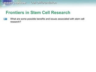 Lesson OverviewLesson Overview Cell DifferentiationCell Differentiation
Frontiers in Stem Cell Research
What are some possible benefits and issues associated with stem cell
research?
 