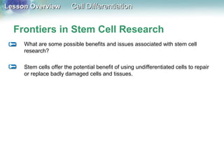 Lesson OverviewLesson Overview Cell DifferentiationCell Differentiation
Frontiers in Stem Cell Research
What are some possible benefits and issues associated with stem cell
research?
Stem cells offer the potential benefit of using undifferentiated cells to repair
or replace badly damaged cells and tissues.
 
