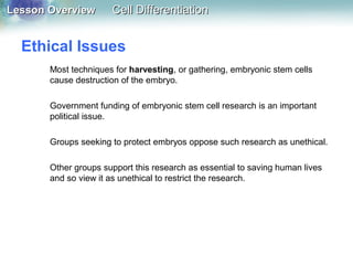 Lesson OverviewLesson Overview Cell DifferentiationCell Differentiation
Ethical Issues
Most techniques for harvesting, or gathering, embryonic stem cells
cause destruction of the embryo.
Government funding of embryonic stem cell research is an important
political issue.
Groups seeking to protect embryos oppose such research as unethical.
Other groups support this research as essential to saving human lives
and so view it as unethical to restrict the research.
 