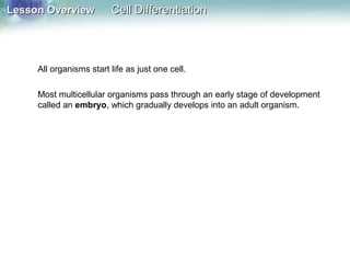 Lesson OverviewLesson Overview Cell DifferentiationCell Differentiation
All organisms start life as just one cell.
Most multicellular organisms pass through an early stage of development
called an embryo, which gradually develops into an adult organism.
 