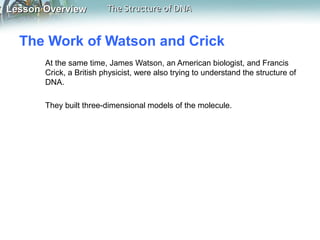 Lesson OverviewLesson Overview The Structure of DNAThe Structure of DNA
The Work of Watson and Crick
At the same time, Jam...