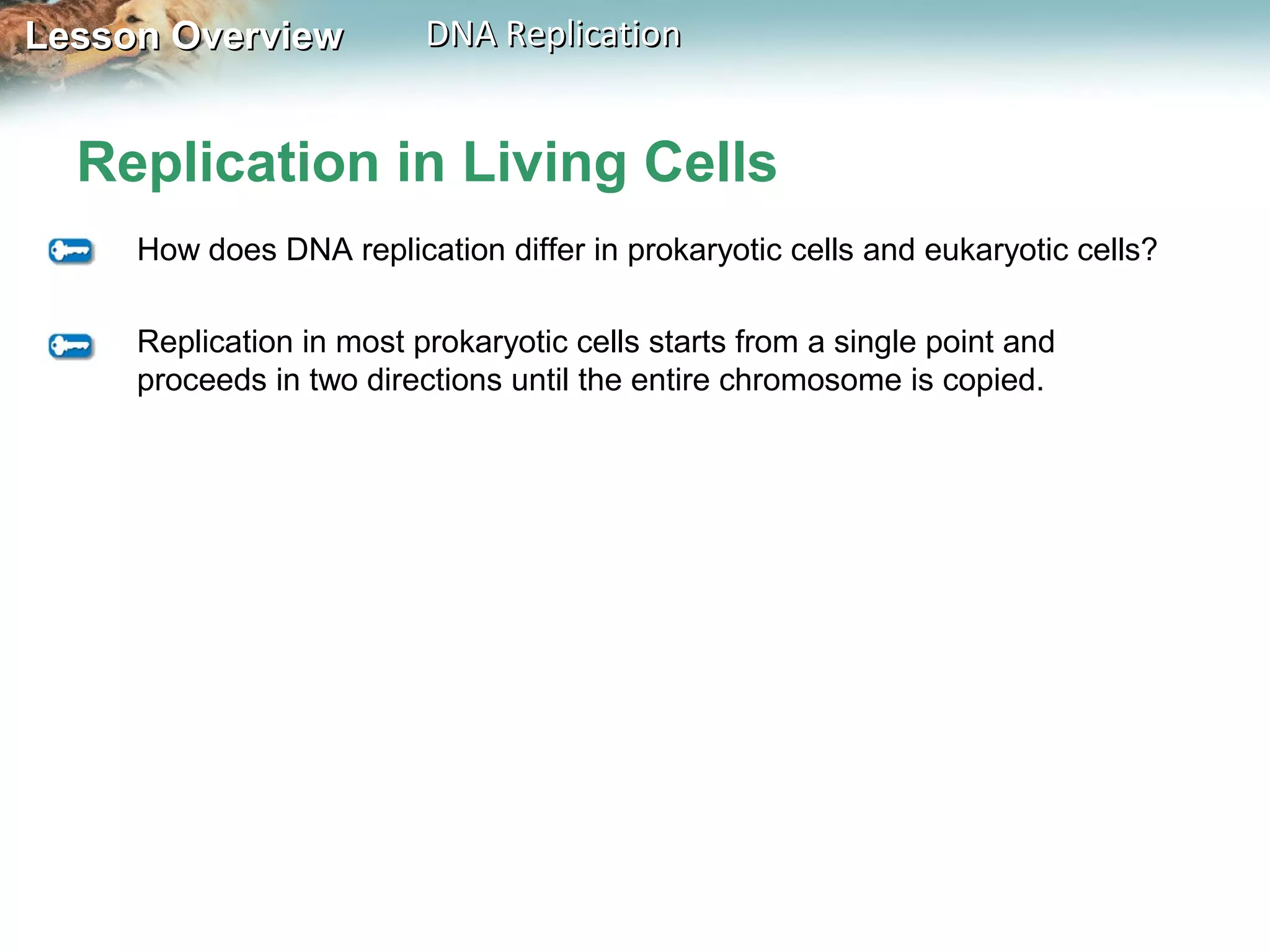 Lesson OverviewLesson Overview DNA ReplicationDNA Replication
Replication in Living Cells
How does DNA replication differ in prokaryotic cells and eukaryotic cells?
Replication in most prokaryotic cells starts from a single point and
proceeds in two directions until the entire chromosome is copied.
 