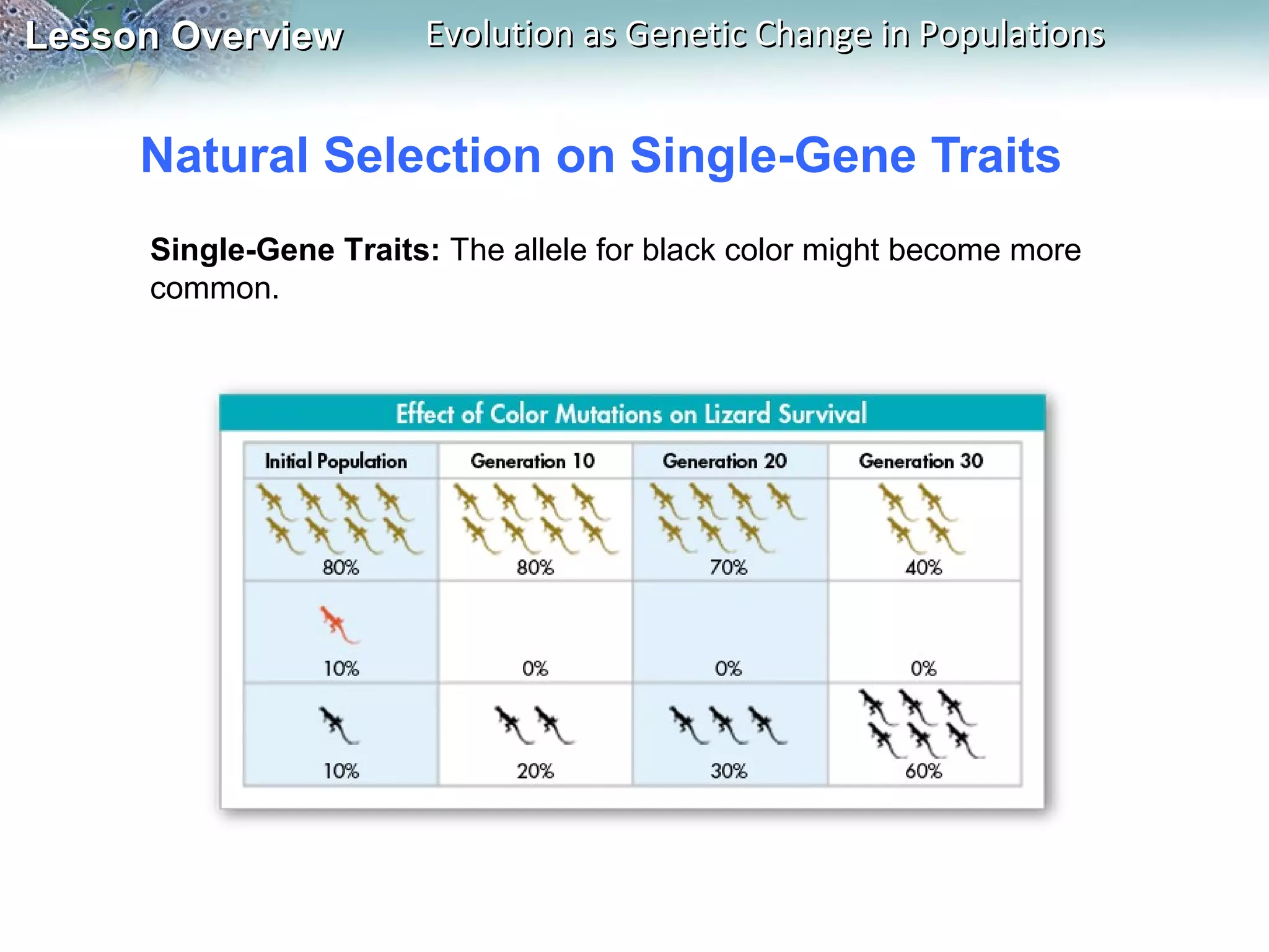 Lesson Overview

Evolution as Genetic Change in Populations

Natural Selection on Single-Gene Traits
Single-Gene Traits: The allele for black color might become more
common.

 