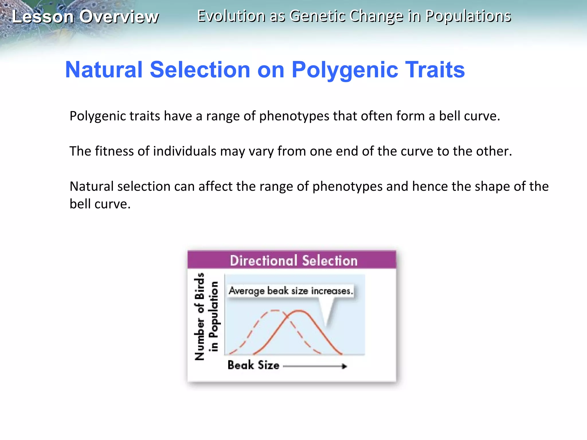 Lesson Overview

Evolution as Genetic Change in Populations

Natural Selection on Polygenic Traits
Polygenic traits have a range of phenotypes that often form a bell curve.
The fitness of individuals may vary from one end of the curve to the other.
Natural selection can affect the range of phenotypes and hence the shape of the
bell curve.

 