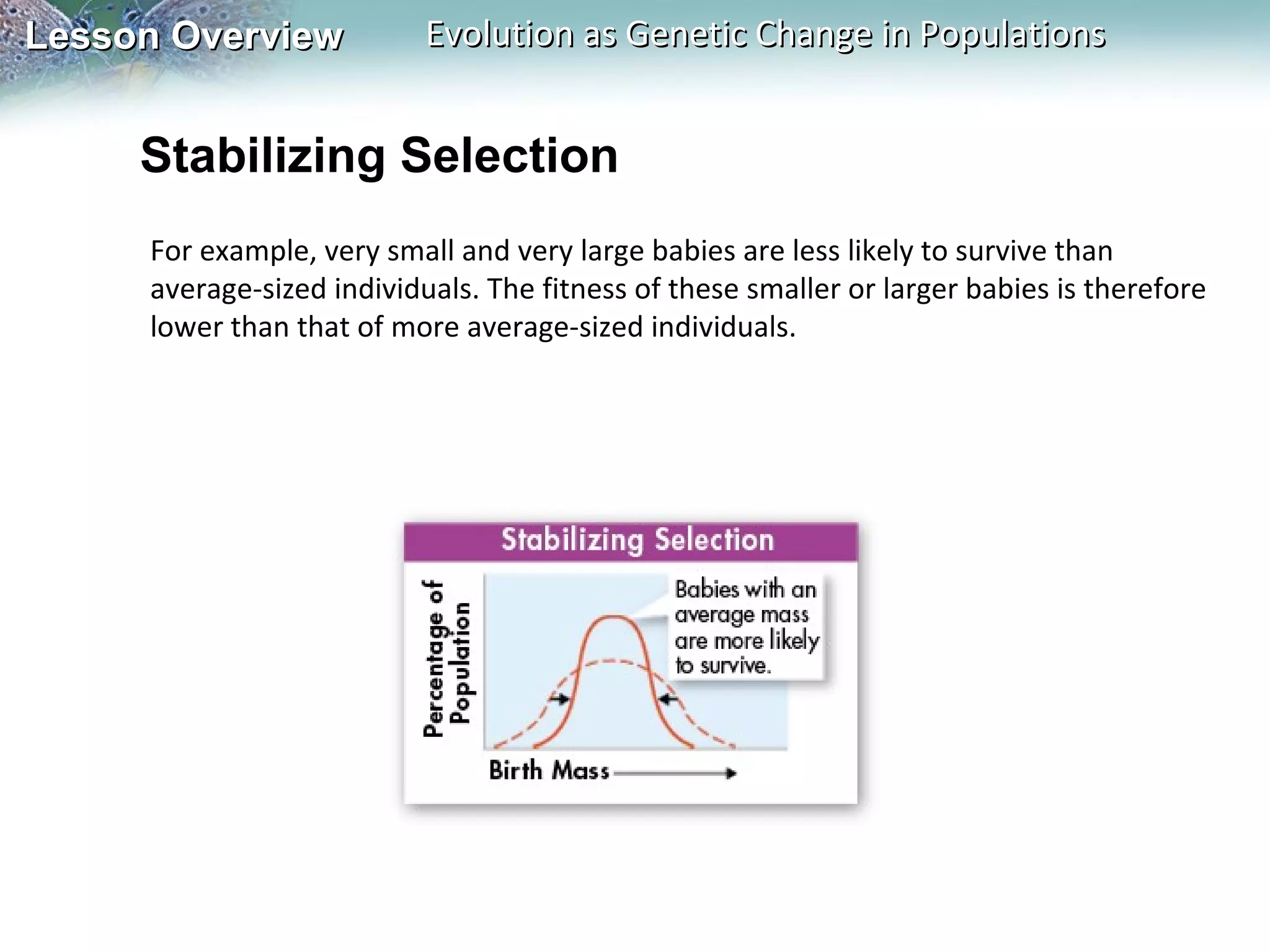 Lesson Overview

Evolution as Genetic Change in Populations

Stabilizing Selection
For example, very small and very large babies are less likely to survive than
average-sized individuals. The fitness of these smaller or larger babies is therefore
lower than that of more average-sized individuals.

 