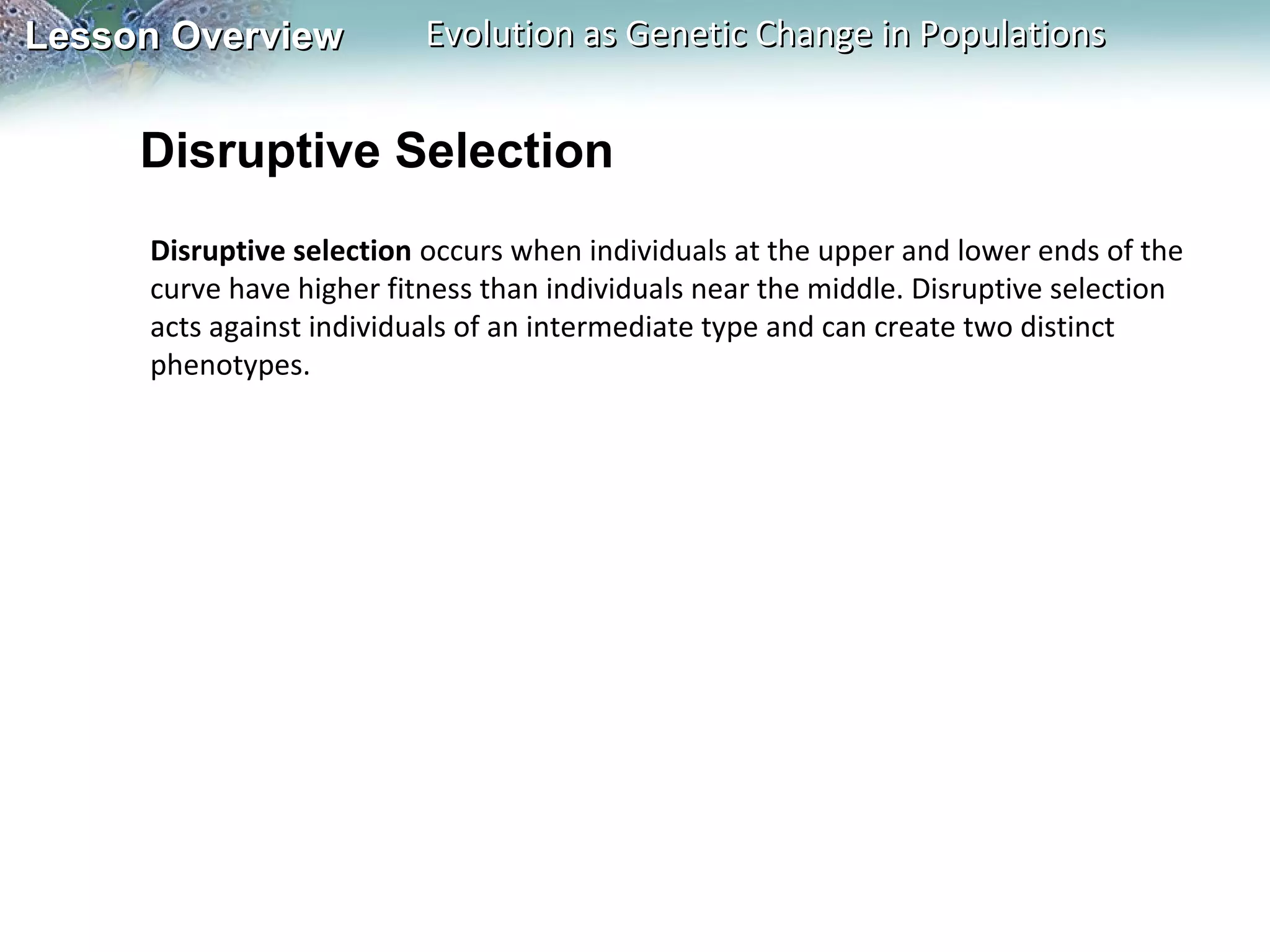 Lesson Overview

Evolution as Genetic Change in Populations

Disruptive Selection
Disruptive selection occurs when individuals at the upper and lower ends of the
curve have higher fitness than individuals near the middle. Disruptive selection
acts against individuals of an intermediate type and can create two distinct
phenotypes.

 