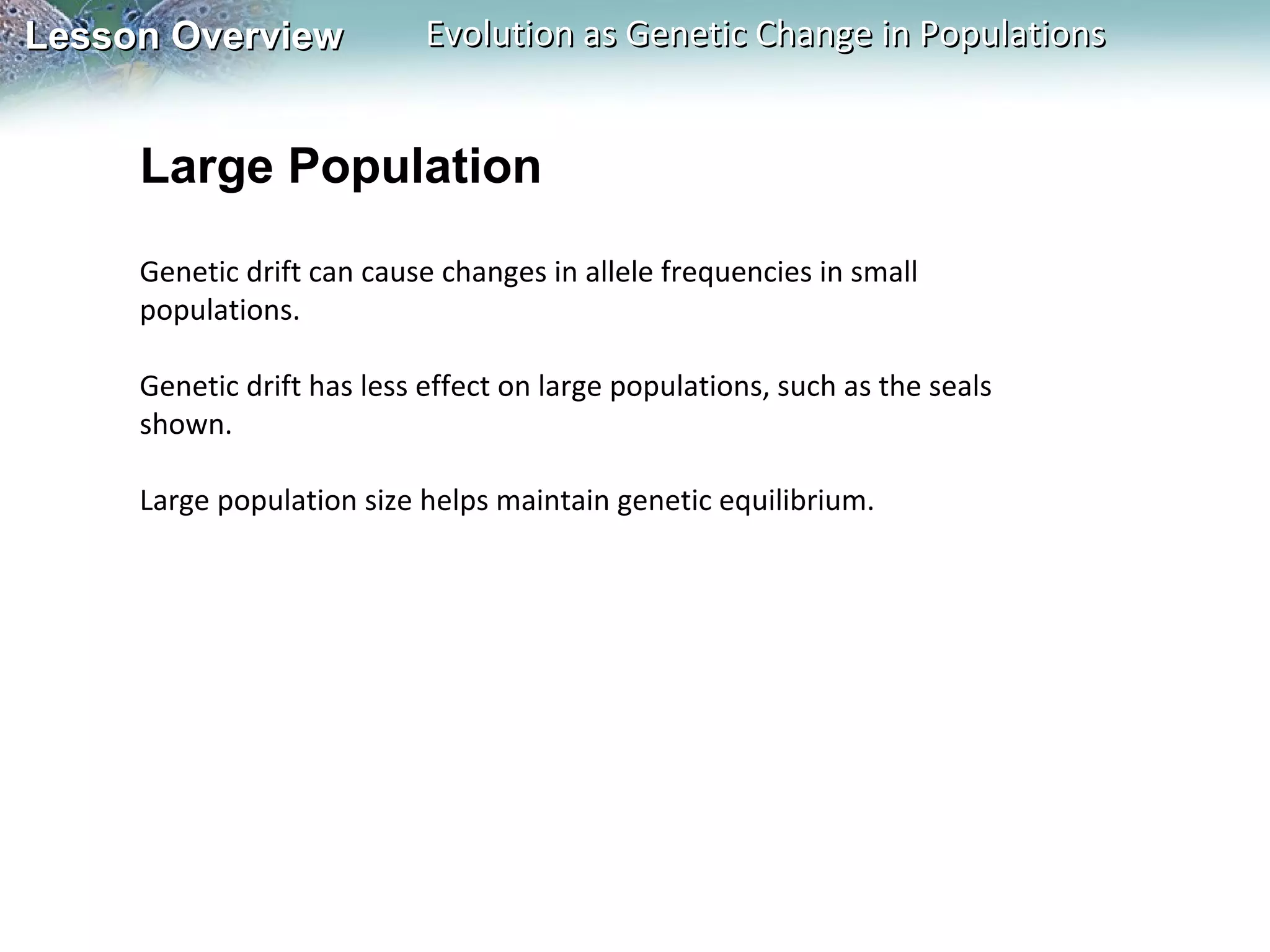 Lesson Overview

Evolution as Genetic Change in Populations

Large Population
Genetic drift can cause changes in allele frequencies in small
populations.
Genetic drift has less effect on large populations, such as the seals
shown.
Large population size helps maintain genetic equilibrium.

 