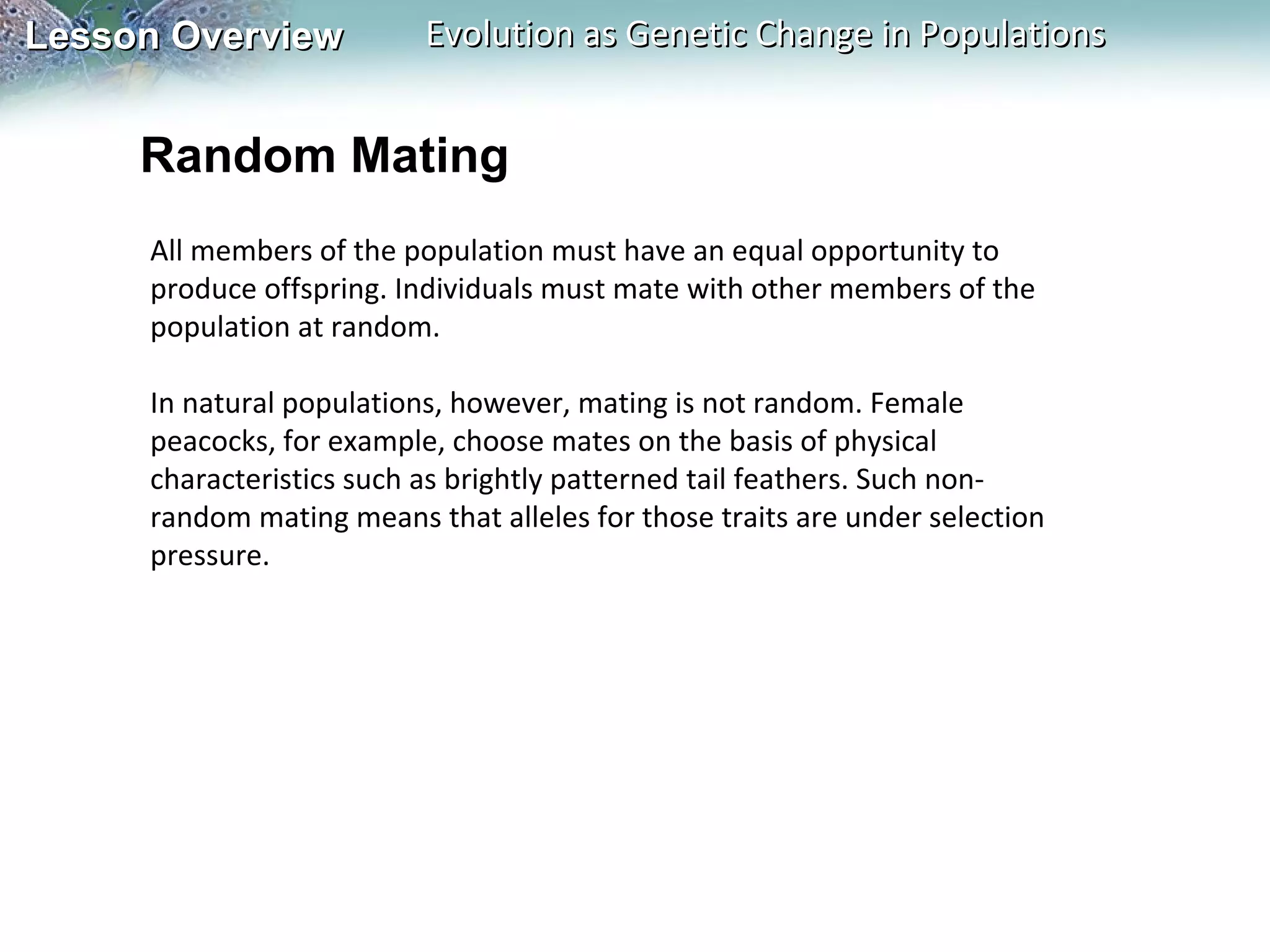 Lesson Overview

Evolution as Genetic Change in Populations

Random Mating
All members of the population must have an equal opportunity to
produce offspring. Individuals must mate with other members of the
population at random.
In natural populations, however, mating is not random. Female
peacocks, for example, choose mates on the basis of physical
characteristics such as brightly patterned tail feathers. Such nonrandom mating means that alleles for those traits are under selection
pressure.

 