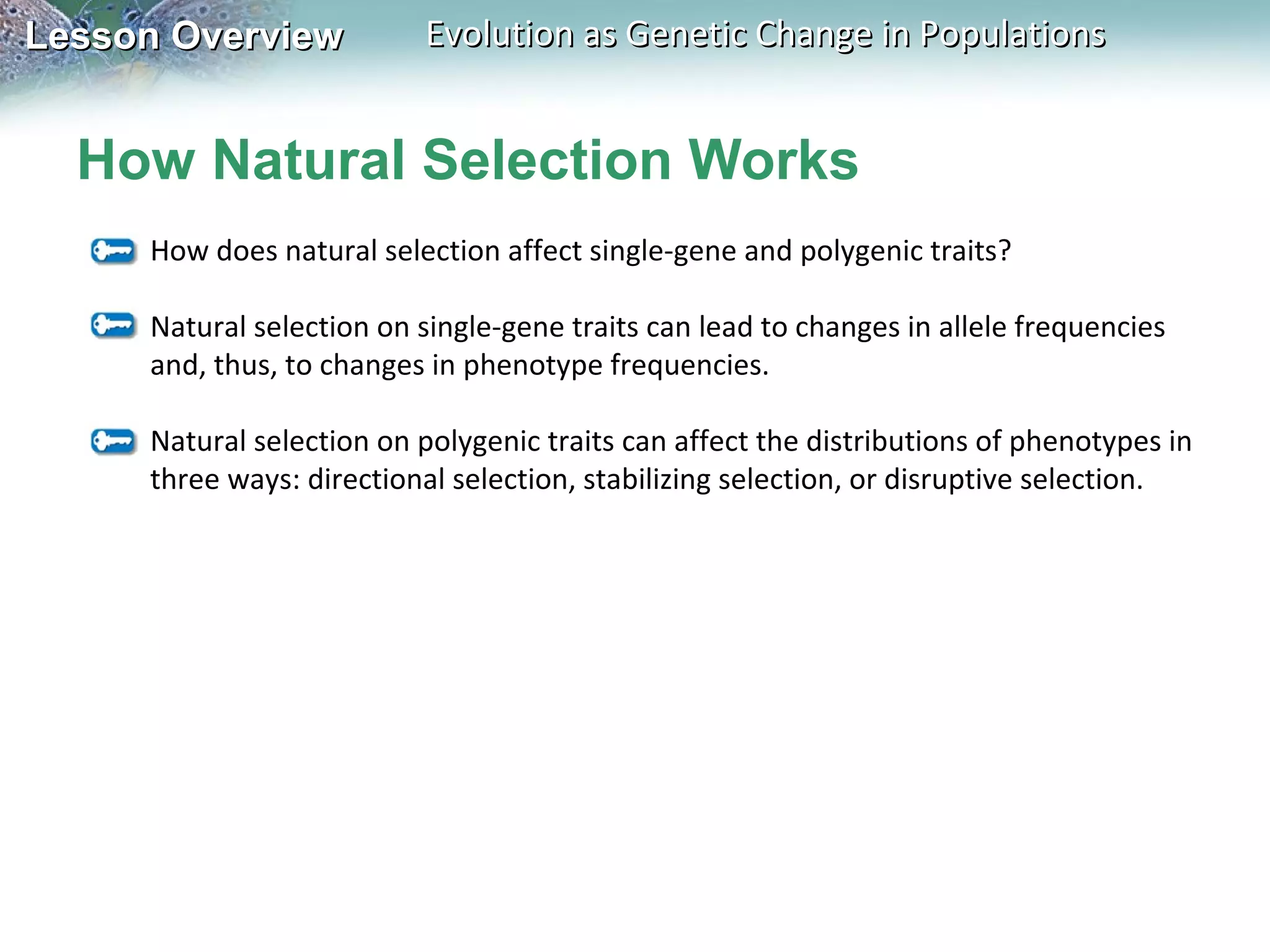 Lesson Overview

Evolution as Genetic Change in Populations

How Natural Selection Works
How does natural selection affect single-gene and polygenic traits?
Natural selection on single-gene traits can lead to changes in allele frequencies
and, thus, to changes in phenotype frequencies.
Natural selection on polygenic traits can affect the distributions of phenotypes in
three ways: directional selection, stabilizing selection, or disruptive selection.

 