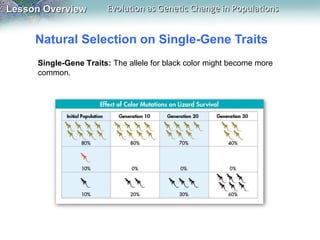 Lesson Overview

Evolution as Genetic Change in Populations

Natural Selection on Single-Gene Traits
Single-Gene Traits: The allele for black color might become more
common.

 