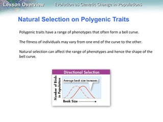 Lesson Overview

Evolution as Genetic Change in Populations

Natural Selection on Polygenic Traits
Polygenic traits have a range of phenotypes that often form a bell curve.
The fitness of individuals may vary from one end of the curve to the other.
Natural selection can affect the range of phenotypes and hence the shape of the
bell curve.

 