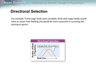 Lesson Overview

Evolution as Genetic Change in Populations

Directional Selection
For example, if only large seeds were available, birds with larger beaks would
have an easier time feeding and would be more successful in surviving and
passing on genes.

 