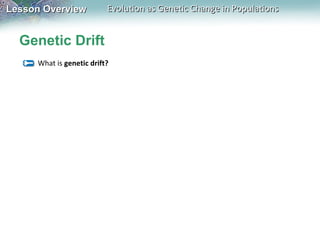 Lesson Overview

Evolution as Genetic Change in Populations

Genetic Drift
What is genetic drift?

 