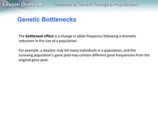 Lesson Overview

Evolution as Genetic Change in Populations

Genetic Bottlenecks
The bottleneck effect is a change in allele frequency following a dramatic
reduction in the size of a population.
For example, a disaster may kill many individuals in a population, and the
surviving population’s gene pool may contain different gene frequencies from the
original gene pool.

 
