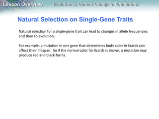 Lesson Overview

Evolution as Genetic Change in Populations

Natural Selection on Single-Gene Traits
Natural selection for a single-gene trait can lead to changes in allele frequencies
and then to evolution.
For example, a mutation in one gene that determines body color in lizards can
affect their lifespan. So if the normal color for lizards is brown, a mutation may
produce red and black forms.

 