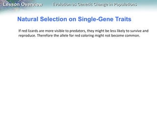 Lesson Overview

Evolution as Genetic Change in Populations

Natural Selection on Single-Gene Traits
If red lizards are more visible to predators, they might be less likely to survive and
reproduce. Therefore the allele for red coloring might not become common.

 
