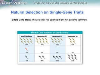 Lesson Overview

Evolution as Genetic Change in Populations

Natural Selection on Single-Gene Traits
Single-Gene Traits: The allele for red coloring might not become common.

 