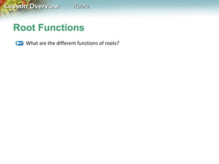Lesson Overview

Roots

Root Functions
What are the different functions of roots?

 