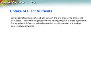 Lesson Overview

Roots

Uptake of Plant Nutrients
Soil is a complex mixture of sand, silt, clay, air, and bits of decaying animal and
plant tissue. Soil in different places contains varying amounts of these ingredients.
The ingredients define the soil and determine, to a large extent, the kinds of
plants that can grow in it.

 