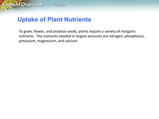 Lesson Overview

Roots

Uptake of Plant Nutrients
To grow, flower, and produce seeds, plants require a variety of inorganic
nutrients. The nutrients needed in largest amounts are nitrogen, phosphorus,
potassium, magnesium, and calcium.

 