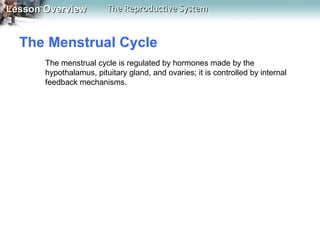 Lesson Overview

The Reproductive System

The Menstrual Cycle
The menstrual cycle is regulated by hormones made by the
hypothalamus, pituitary gland, and ovaries; it is controlled by internal
feedback mechanisms.

 