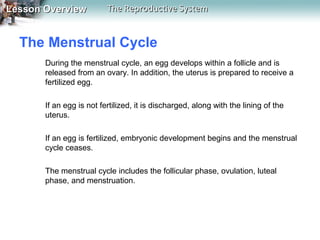 Lesson Overview

The Reproductive System

The Menstrual Cycle
During the menstrual cycle, an egg develops within a follicle and is
released from an ovary. In addition, the uterus is prepared to receive a
fertilized egg.
If an egg is not fertilized, it is discharged, along with the lining of the
uterus.
If an egg is fertilized, embryonic development begins and the menstrual
cycle ceases.
The menstrual cycle includes the follicular phase, ovulation, luteal
phase, and menstruation.

 