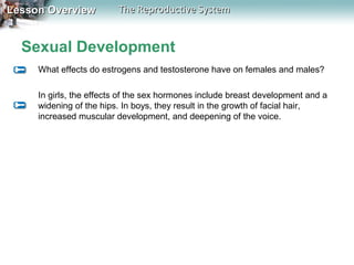 Lesson Overview

The Reproductive System

Sexual Development
What effects do estrogens and testosterone have on females and males?
In girls, the effects of the sex hormones include breast development and a
widening of the hips. In boys, they result in the growth of facial hair,
increased muscular development, and deepening of the voice.

 
