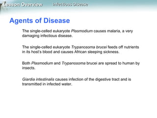Lesson Overview

Infectious Disease

Agents of Disease
The single-celled eukaryote Plasmodium causes malaria, a very
damaging infectious disease.
The single-celled eukaryote Trypanosoma brucei feeds off nutrients
in its host’s blood and causes African sleeping sickness.
Both Plasmodium and Trypanosoma brucei are spread to human by
insects.
Giardia intestinalis causes infection of the digestive tract and is
transmitted in infected water.

 
