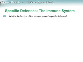 Lesson Overview

Defenses Against Infection

Specific Defenses: The Immune System
What is the function of the immune system’s specific defenses?

 