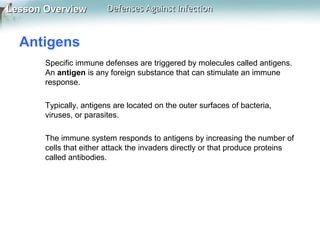 Lesson Overview

Defenses Against Infection

Antigens
Specific immune defenses are triggered by molecules called antigens.
An antigen is any foreign substance that can stimulate an immune
response.
Typically, antigens are located on the outer surfaces of bacteria,
viruses, or parasites.
The immune system responds to antigens by increasing the number of
cells that either attack the invaders directly or that produce proteins
called antibodies.

 