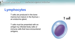 Lesson Overview

Defenses Against Infection

Lymphocytes
T cells are produced in the bone
marrow but mature in the thymus—
an endocrine gland.
T cells must be presented with an
antigen by infected body cells or
immune cells that have encountered
antigens.

 
