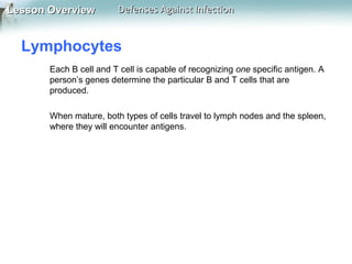 Lesson Overview

Defenses Against Infection

Lymphocytes
Each B cell and T cell is capable of recognizing one specific antigen. A
person’s genes determine the particular B and T cells that are
produced.
When mature, both types of cells travel to lymph nodes and the spleen,
where they will encounter antigens.

 