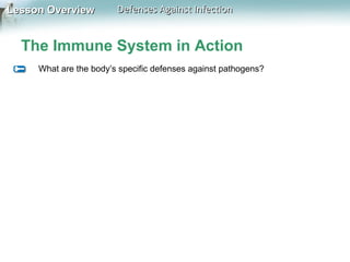 Lesson Overview

Defenses Against Infection

The Immune System in Action
What are the body’s specific defenses against pathogens?

 