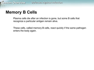 Lesson Overview

Defenses Against Infection

Memory B Cells
Plasma cells die after an infection is gone, but some B cells that
recognize a particular antigen remain alive.
These cells, called memory B cells, react quickly if the same pathogen
enters the body again.

 