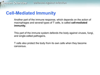 Lesson Overview

Defenses Against Infection

Cell-Mediated Immunity
Another part of the immune response, which depends on the action of
macrophages and several types of T cells, is called cell-mediated
immunity.
This part of the immune system defends the body against viruses, fungi,
and single-celled pathogens.
T cells also protect the body from its own cells when they become
cancerous.

 