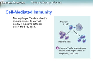 Lesson Overview

Defenses Against Infection

Cell-Mediated Immunity
Memory helper T cells enable the
immune system to respond
quickly if the same pathogen
enters the body again.

 