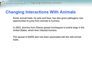 Lesson Overview

Fighting Infectious Disease

Changing Interactions With Animals
Exotic animal trade, for pets and food, has also given pathogens new
opportunities to jump from animals to humans.
In 2003, dormice from Ghana spread monkeypox to prairie dogs in the
United States, which then infected humans.
The spread of SARS also has been associated with the wild animal
trade.

 