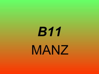 B11 MANZ 