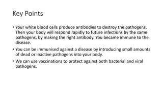 Key Points
• Your white blood cells produce antibodies to destroy the pathogens.
Then your body will respond rapidly to future infections by the same
pathogens, by making the right antibody. You became immune to the
disease.
• You can be immunised against a disease by introducing small amounts
of dead or inactive pathogens into your body.
• We can use vaccinations to protect against both bacterial and viral
pathogens.
 