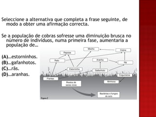 Seleccione a alternativa que completa a frase seguinte, de
  modo a obter uma afirmação correcta.

Se a população de cobras sofresse uma diminuição brusca no
  número de indivíduos, numa primeira fase, aumentaria a
  população de…

(A)…estorninhos.
(B)…gafanhotos.
(C)…rãs.
(D)…aranhas.
 